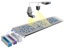 LIBS-Sortierung mit Scanner