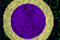 2D Falschfarben-Mapping